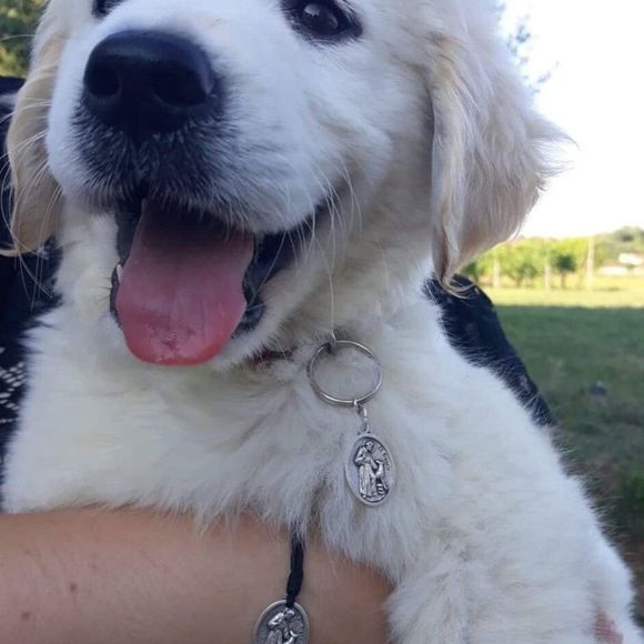 Sterling Silver 18” plated with St Francis Medal Necklace CHARITY - Picture 4 of 12